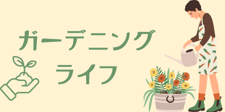 ていねいなくらし